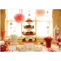Tissue pom poms artificial flowers for wedding decoration