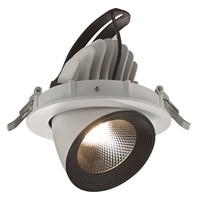25W COB LED Trunk Down Light/LED Building Lighting Fixtures -F