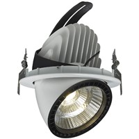 35W COB LED Trunk Down Light/LED Building Spot Lamp -G