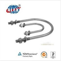 Stainless Steel AISI304/316 U Bolt with Washer Plate and Nuts