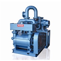 Roots Blower with Double Stage Water Ring Pump Vacuum System