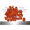 Dehydrated Carrots