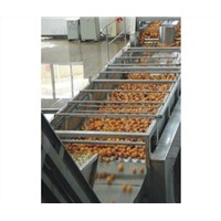 apple juice production line