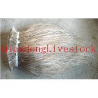 cattle tail hair