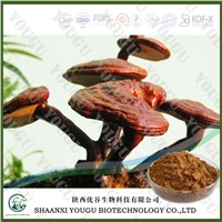 China Herbal extract 10% reishi polysaccharides ganoderma lucidum extract Supplier