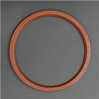 High pressure hydraulic rubber oil seals for Autos
