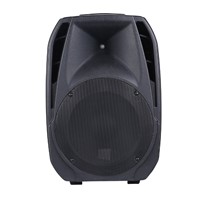15&amp;quot; Active Bluetooth Speakers with USB, SD, LCD Display