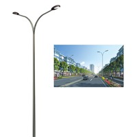 energy solar low price street light column (YLDG-S)