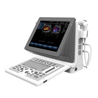 Competitive Price CW Ultrasound with Phrased Array Probe