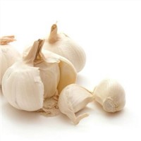 Garlic Extract (1% Allicin)