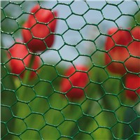 Chicken PVC Coated Hexogonal Green Wire Netting