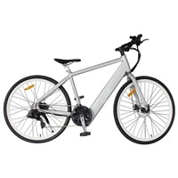 Aluminium Alloy Lithium Battery Mountain Electric Bike with Shimano, 21-Speed (TDE-035D)