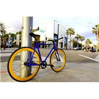 Fashionable Design 700X25c 4130cro-Mo Frame City Bicycle (BE-004)