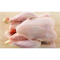 Hot Sale QUALITY Frozen Whole Chicken