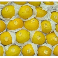Fresh Citrus Fruits /Yellow Lemon &amp;amp; Lime, yellow eureka fresh lemon