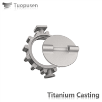 Titanium Casting Parts Valve Grade C2/3/5 with HIP
