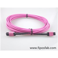 MPO-MPO Low Loss 12C OM4 Plus Corning Micro Cable 3.0mm Patch Cord