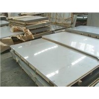 Cold/Hot Rolled 304 Stainless Steel Sheet/Plate