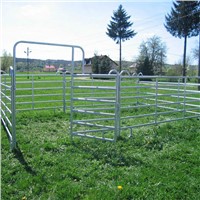 Hot Galvanized Round Pipe Portable Horse Metal Livestock Farm Fence Panel