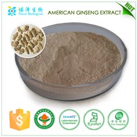 Ginseng extract/ginseng root extract/ginseng extract powder