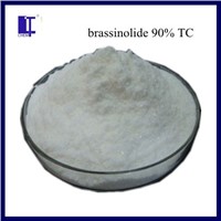 28-H 90%&amp;amp;95%TC Plant hormones (Brassin, BR) brassinolide in agriculture for vegetables and fruits