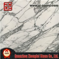 arabescato wormal natural white marble tiles
