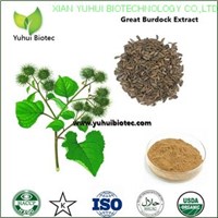 great burdock fruit extract,great burdock fruit extract,arctium lappa extract