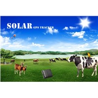 Ultra-long battery life solar power cow container gps tracker solar panel power supply