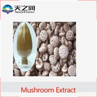 2016 best sell reishi mushroom extract