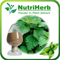 Natural Stinging nettle Extract