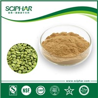 sciphar Green Coffee Bean Extract