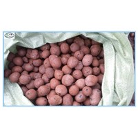 10-30mm Bulk Hydro Expanded Clay pebbles as growing medium for hydroponics