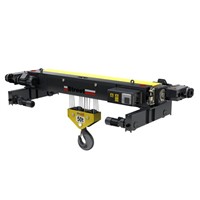 Electric Wire Rope Hoist 10 ton Manufacturer