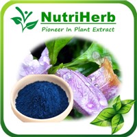 Natural Extract Indigo Powder
