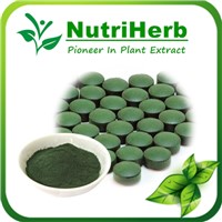 Natural Organic Chlorella powder
