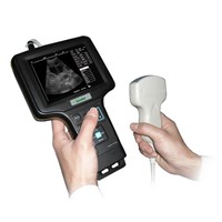 Sonostar good quality handheld portable vet ultrasound scanner pig veterinary ultrasound V6