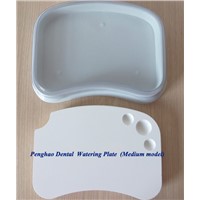 Medium Model Dental ceramic watering plate( wet tray)