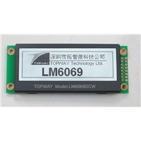 216X64 Graphic LCD Module Cog Type LCD Display (LM6069D) for Audio Player 1u Case