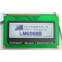 216X64 Graphic LCD Module Cog Type LCD Display (LM6069B)