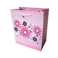 Exquisite Paper Bag Printing,Promotion Gift Bag Printing,Bag Printing Service