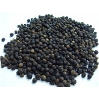 BLACK PEPPER SPICES