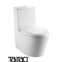 Dual Flush One Piece Eco-Friendly High Efficiency Low Flush Vitreous China Toilet