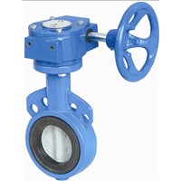 High Quality Ductile Iron Cast Iron Flanged Swing Check Valve