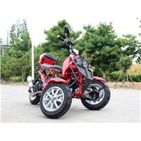 50CC 3 Wheel Trike Motor Scooter