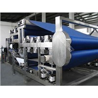 TRIOWIN|Turnkey Industrial Solution for Carrot Juice Processing Line&amp;amp;Machinery&amp;amp;Equipment