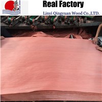 reconstituted red birch wood veneer 2*8factory supplying cheap price high quality