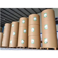 Offset printing paper/Offset paper/ /Writing paper /Woodfree Book paper