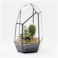 Metal Frame Glass Terrarium Vase Home Decoration Airplants Glass Container Beautiful Friend Gift
