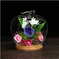 Apple Shaped Glass Dome Home Decoration Glass Vase with Bamboo Base Wedding Glass Gift