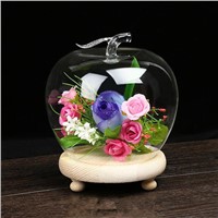 Apple Shaped Glass Dome Home Decoration Glass Vase with Wooden Base Business Gift